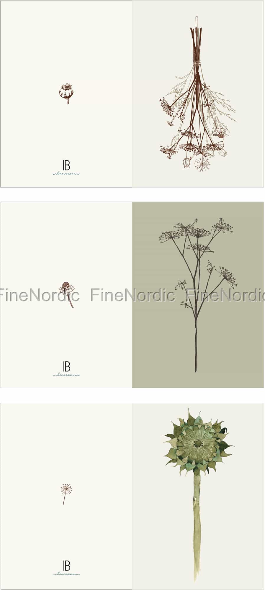 Set of 3 Botanical Greeting Cards | Ib Laursen